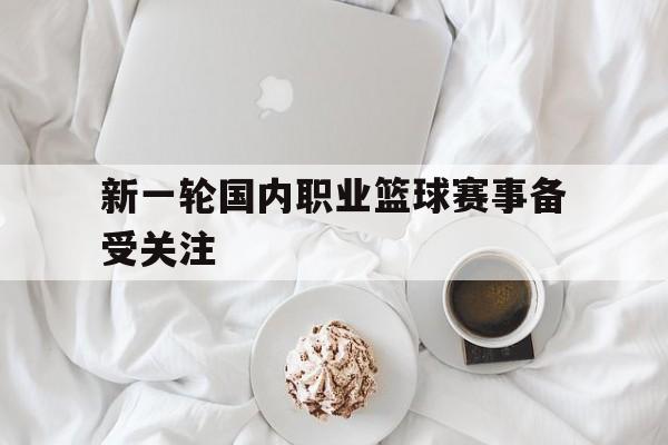 新一轮国内职业篮球赛事备受关注